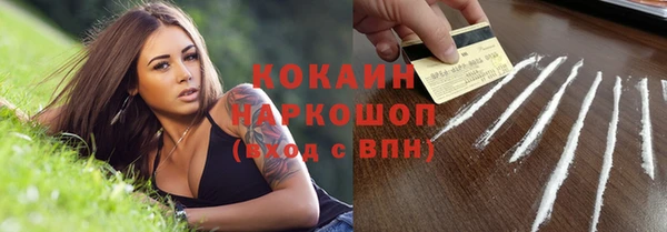 ешки Аркадак