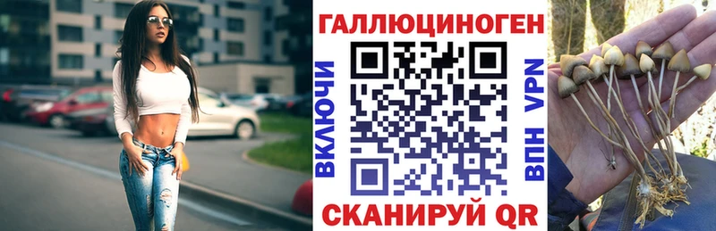 мега как зайти  Новый Оскол  Псилоцибиновые грибы мухоморы 